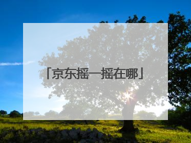 京东摇一摇在哪