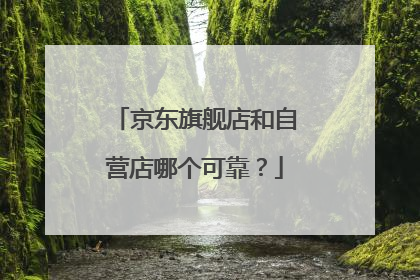 京东旗舰店和自营店哪个可靠?