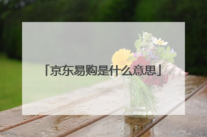 京东易购是什么意思