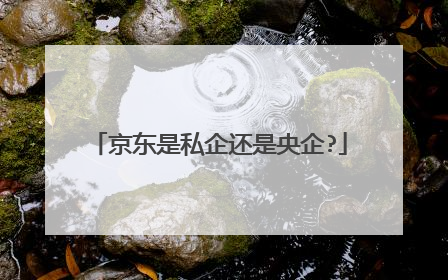 京东是私企还是央企?