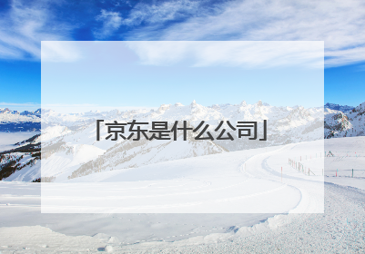 京东是什么公司
