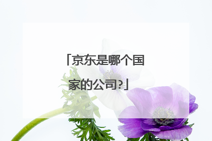 京东是哪个国家的公司?