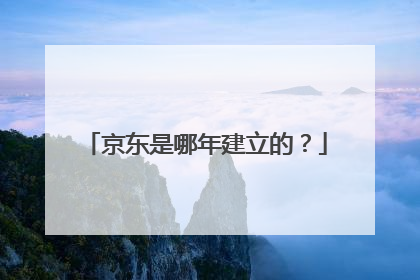 京东是哪年建立的?
