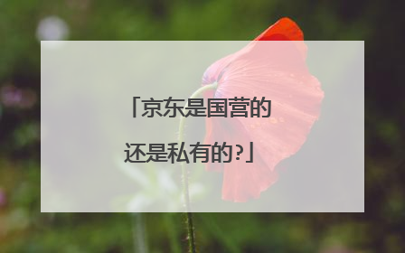 京东是国营的还是私有的?