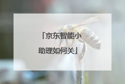 京东智能小助理如何关