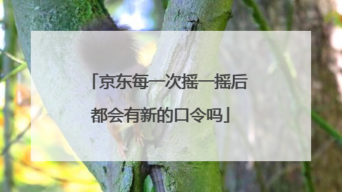 京东每一次摇一摇后都会有新的口令吗
