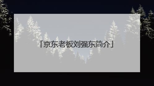 京东老板刘强东简介