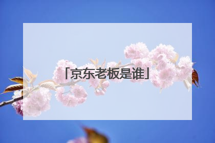 京东老板是谁