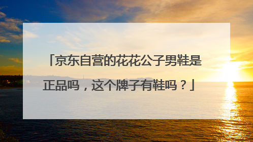 京东自营的花花公子男鞋是正品吗,这个牌子有鞋吗?