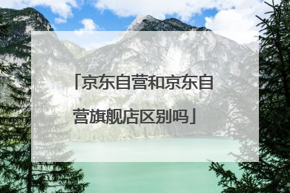 京东自营和京东自营旗舰店区别吗