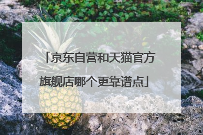 京东自营和天猫官方旗舰店哪个更靠谱点