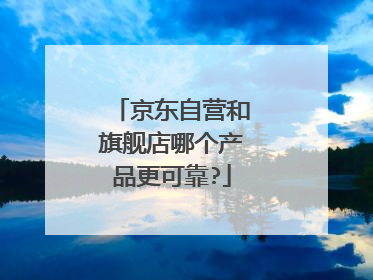京东自营和旗舰店哪个产品更可靠?