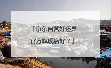 京东自营好还是官方旗舰店好?