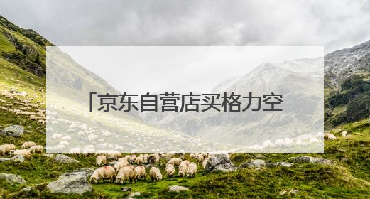 京东自营店买格力空调安装师傅专业吗