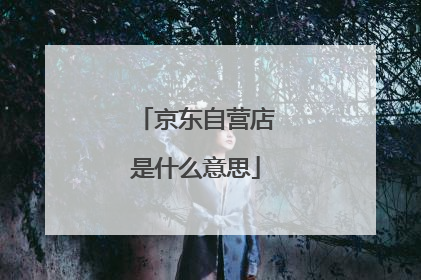 京东自营店是什么意思