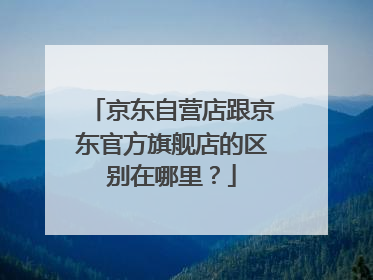 京东自营店跟京东官方旗舰店的区别在哪里？