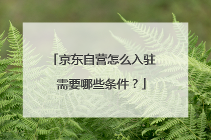 京东自营怎么入驻 需要哪些条件?
