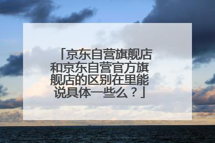京东自营旗舰店和京东自营官方旗舰店的区别在里能说具体一些么?