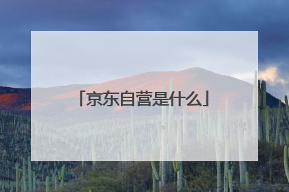 京东自营是什么