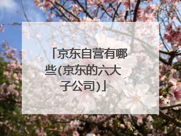 京东自营有哪些(京东的六大子公司)