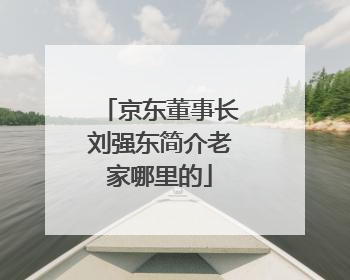 京东董事长刘强东简介老家哪里的