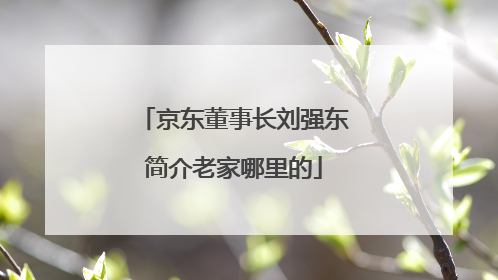 京东董事长刘强东简介老家哪里的