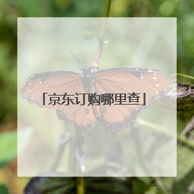 京东订购哪里查