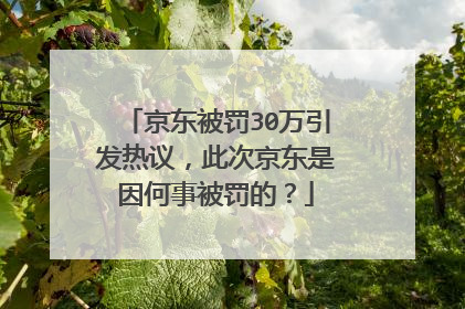 京东被罚30万引发热议,此次京东是因何事被罚的?