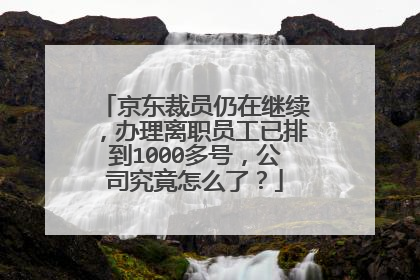 京东裁员仍在继续,办理离职员工已排到1000多号,公司究竟怎么了?