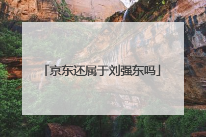 京东还属于刘强东吗