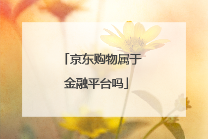 京东购物属于金融平台吗