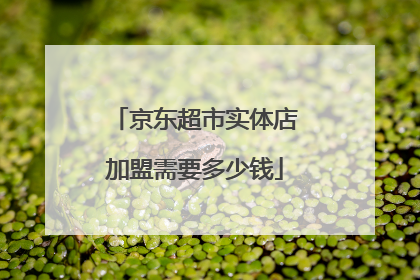 京东超市实体店加盟需要多少钱