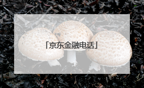 京东金融电话