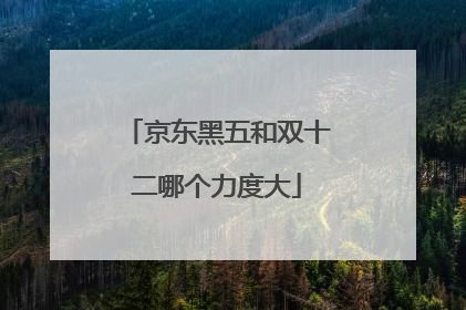 京东黑五和双十二哪个力度大