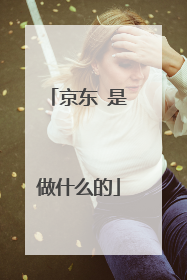 京东 是做什么的