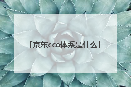 京东cco体系是什么