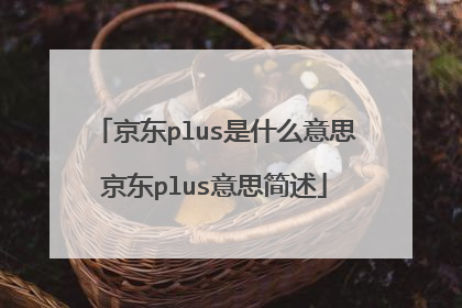 京东plus是什么意思京东plus意思简述