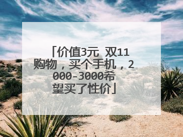 价值3元 双11购物,买个手机,2000-3000希望买了性价
