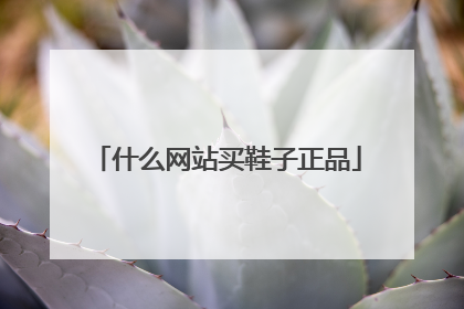 什么网站买鞋子正品