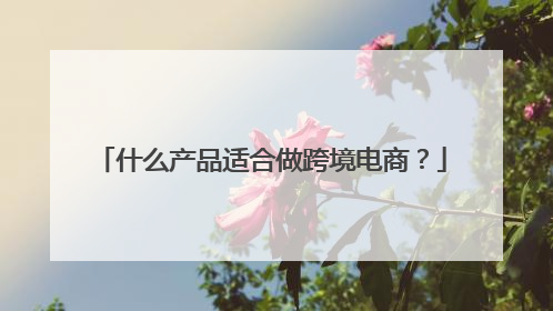 什么产品适合做跨境电商?