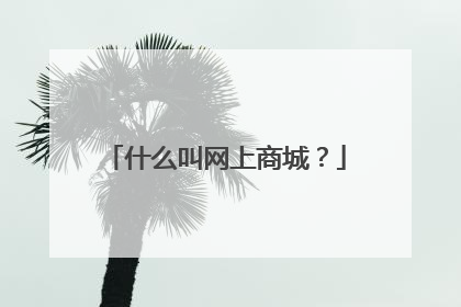 什么叫网上商城?
