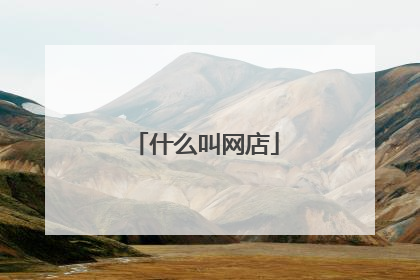 什么叫网店