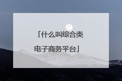 什么叫综合类电子商务平台