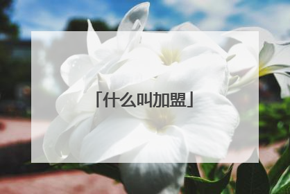 什么叫加盟