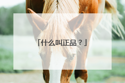 什么叫正品?