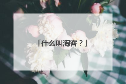 什么叫淘客?