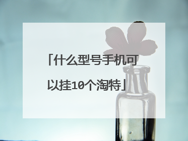 什么型号手机可以挂10个淘特