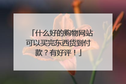 什么好的购物网站可以买完东西货到付款?有好评!