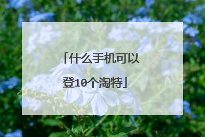 什么手机可以登10个淘特