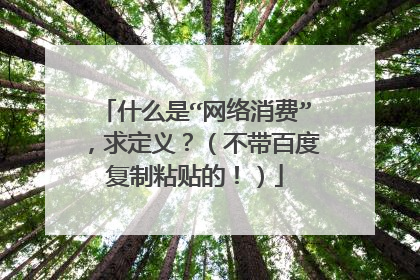 什么是“网络消费”,求定义?(不带百度复制粘贴的!)